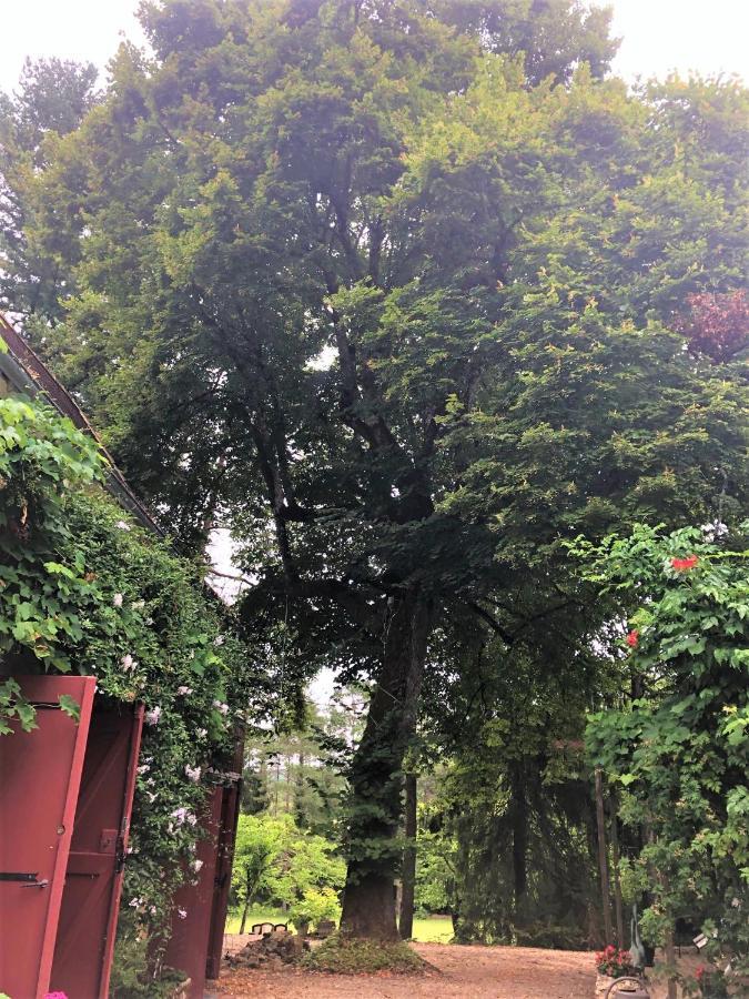Chambres D'Hotes Les Coustilles Saint-Alvère Kültér fotó